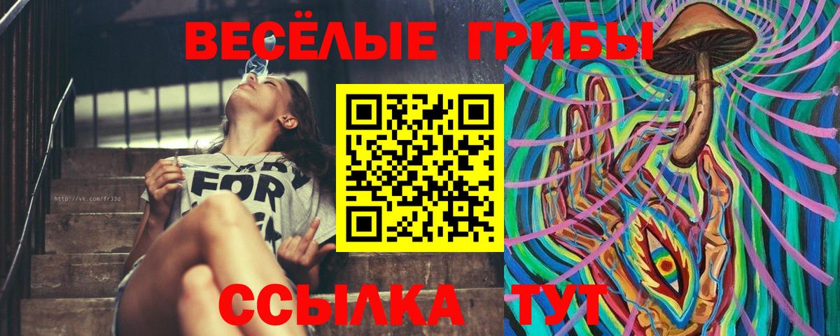 Псилоцибиновые грибы ЛСД  Вход с VPN  Железногорск 